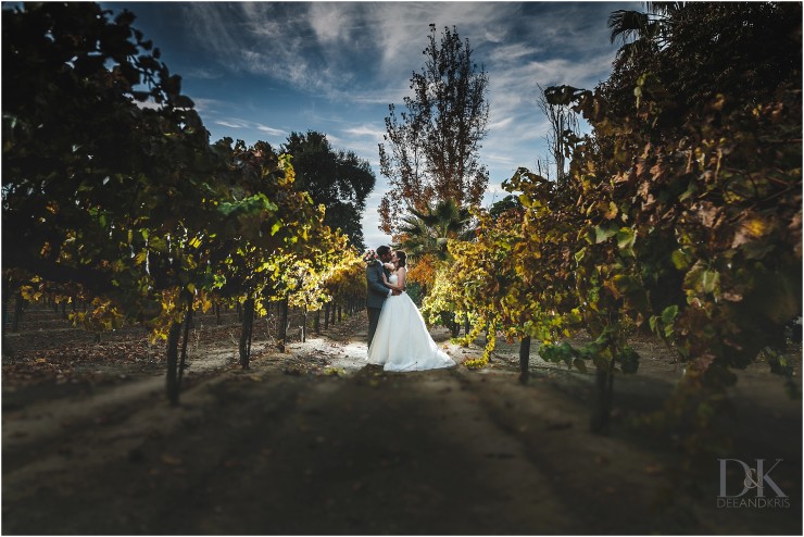 Scribner Bend Vineyard Wedding Dee & Kris Photography