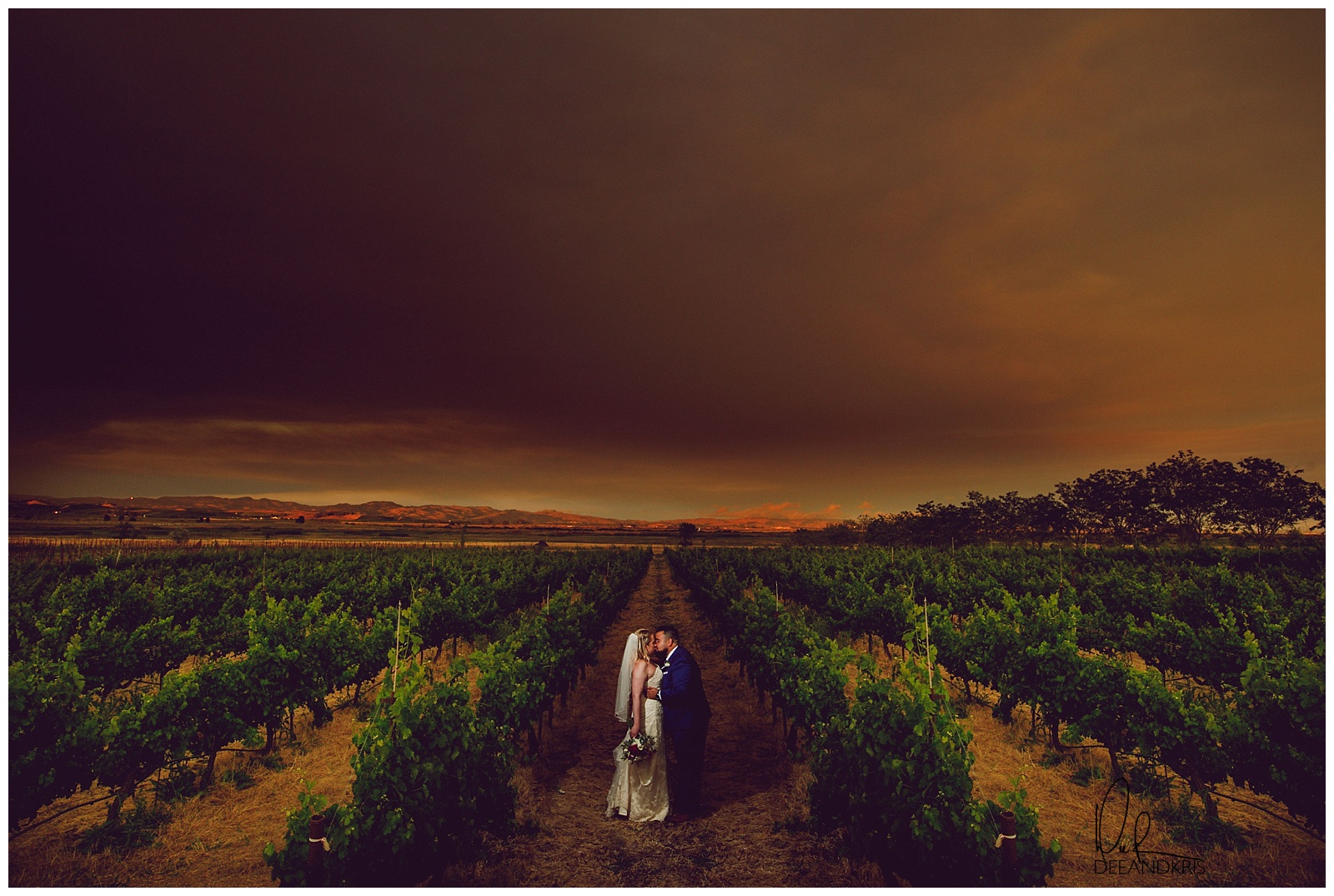 Jacuzzi-Family-Vineyards-Wedding-Photographers_0022.jpg