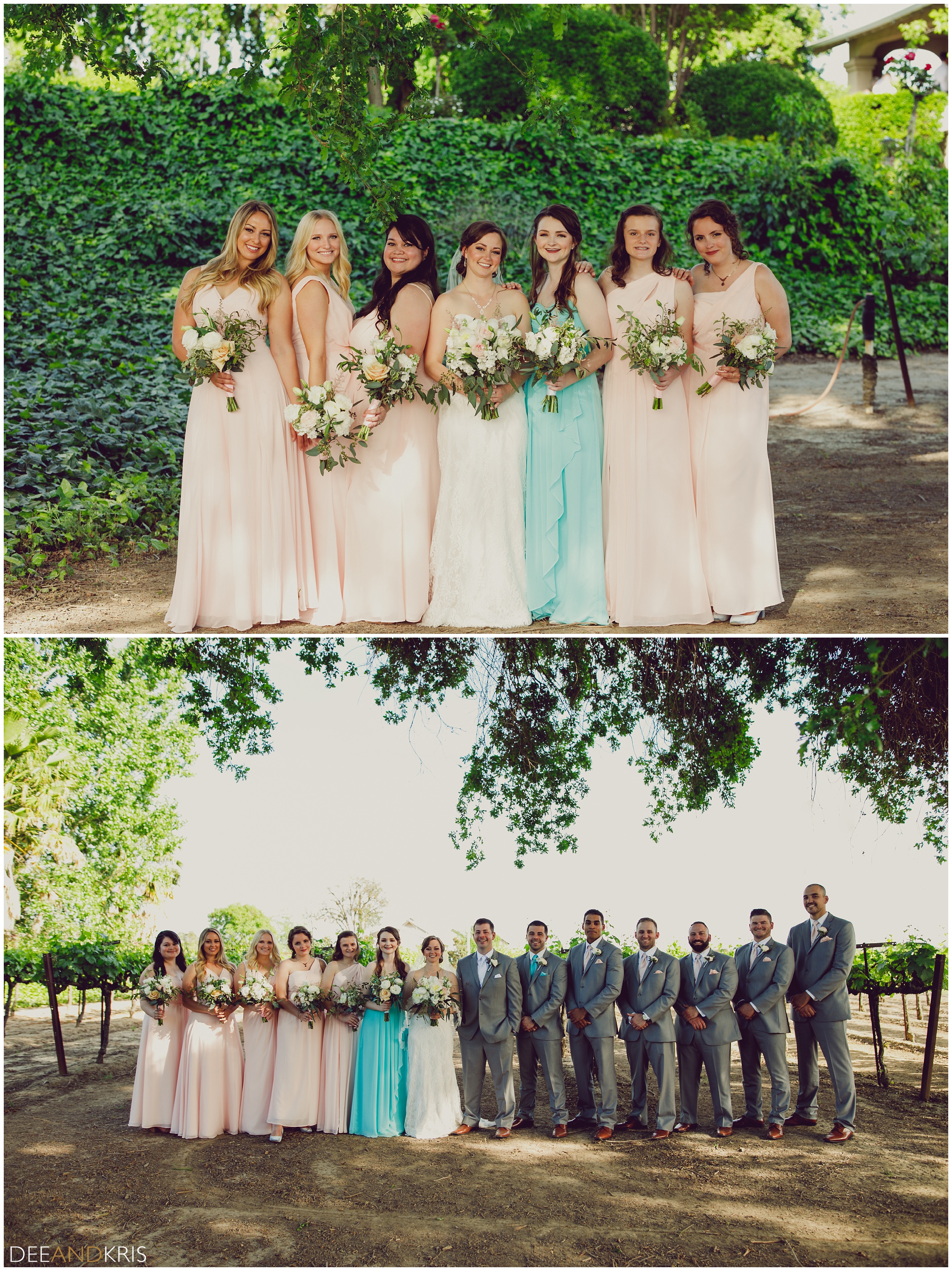 Sacramento Wedding photographers photograph bride with bridesmaids at Scribner Bend. Group shot with Bridal party at Scribner bend