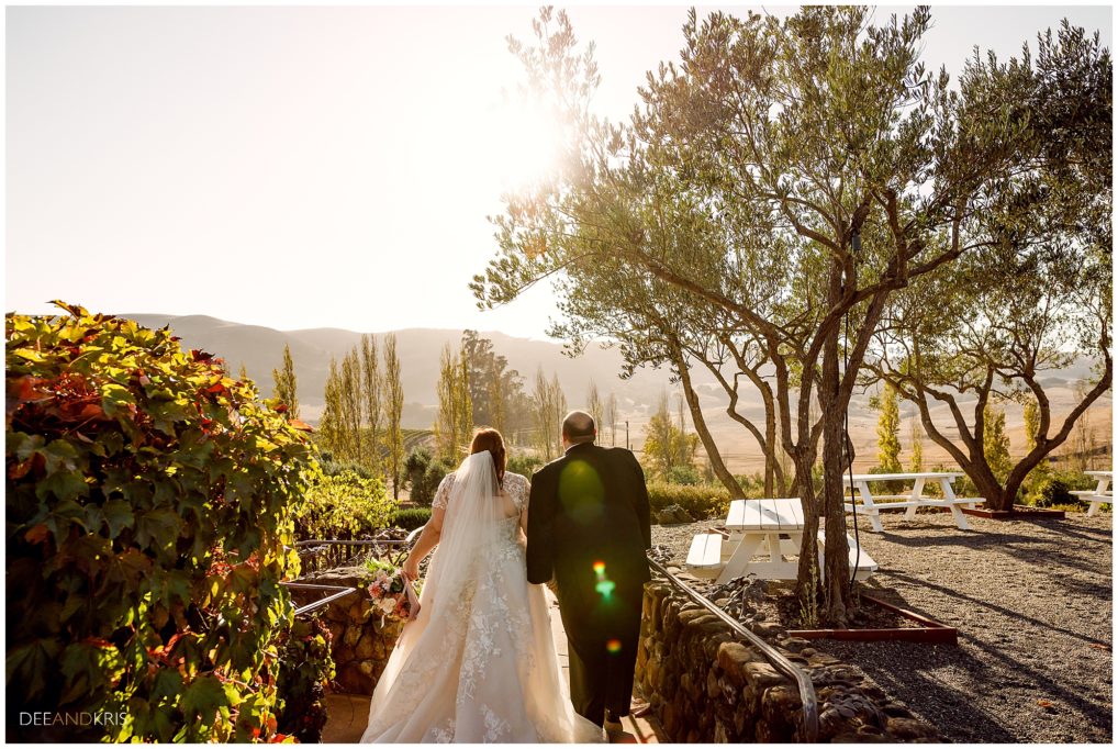 Dee and Kris photography photograph bride and groom at Viansa Winery in Napa Valley