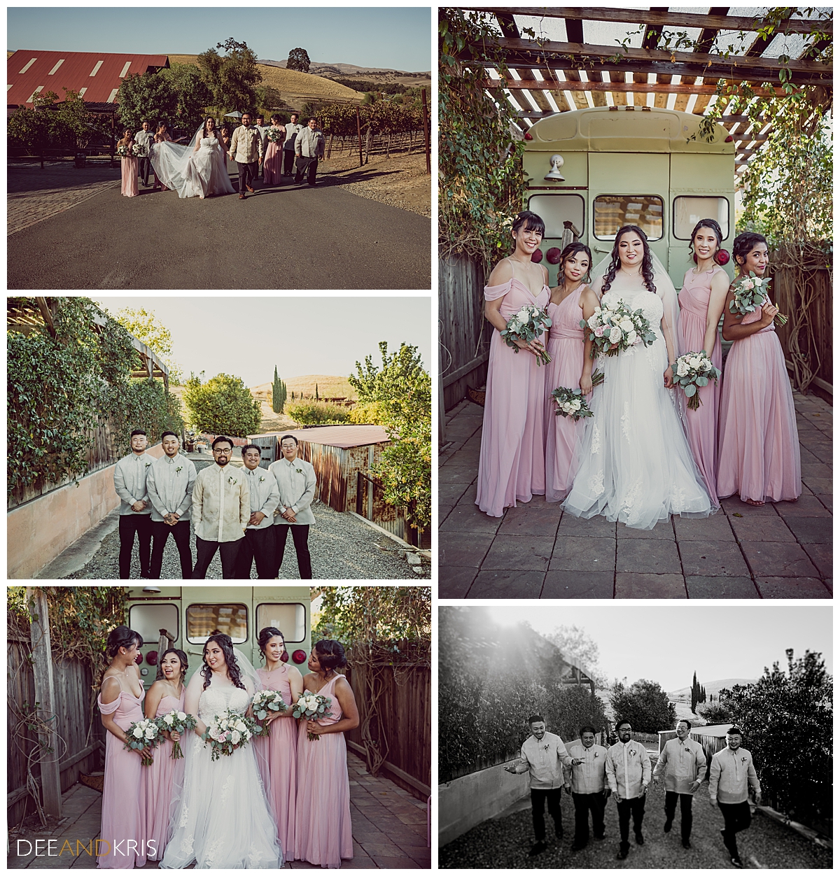 Five images of wedding party in various poses.