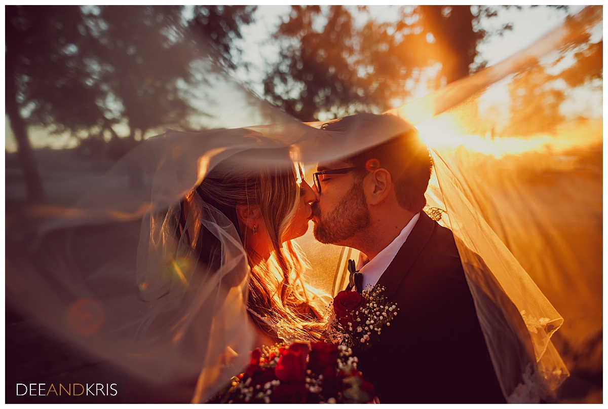 Single image of bride and groom kissing in sunset light with veil covering them.