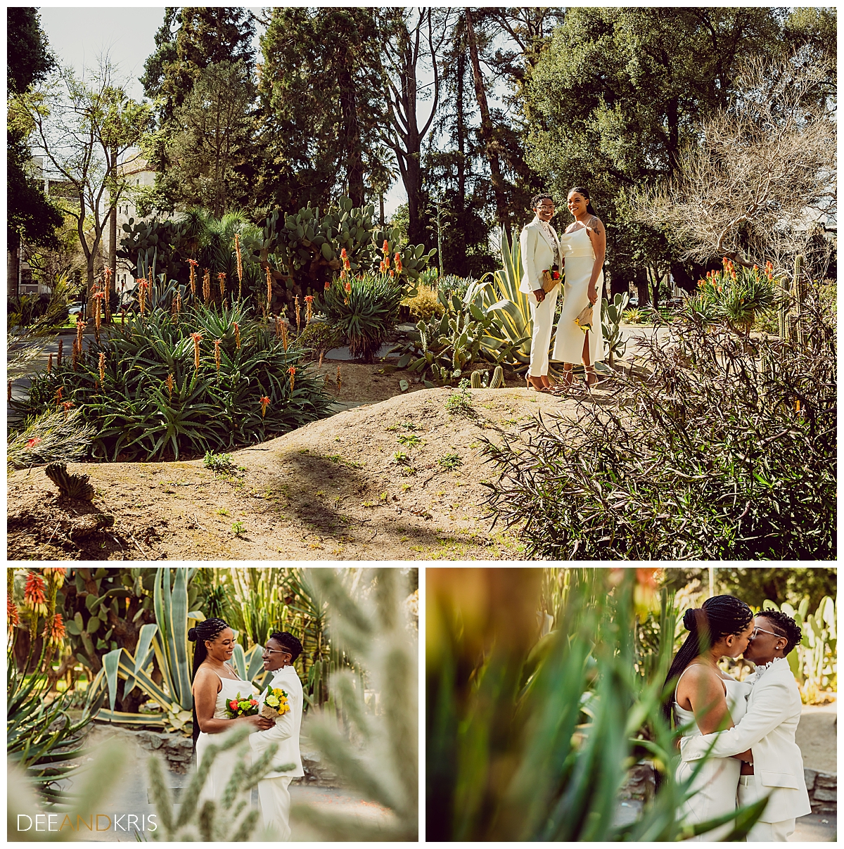 Three images: Top image of couple standing together among the cactus garden. Bottom left POV image of couple viewed from behind a cactus. Bottom right POV image of couple kissing viewed from behind a flower bush.